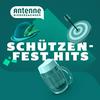 undefined Antenne Niedersachsen - Schützenfest Hits