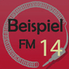 undefined BeispielFM 14