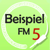 undefined BeispielFM 5