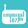 undefined Empneusi