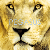 undefined Pegasus