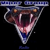 undefined vipergroup
