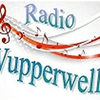 undefined Wupperwelle