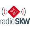 undefined radioSKW