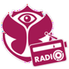 undefined Tomorrowland Radio Festival