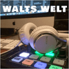 undefined WALTS WELT 