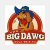 undefined WVLC Big Dawg Country 99.9 FM