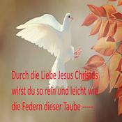 Glaube Anders
