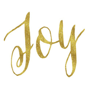 joy-radioclub