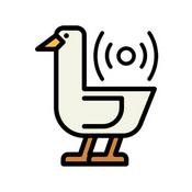 Radio Radio Goose