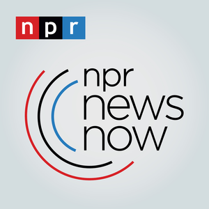 Luister naar NPR 24 in de app