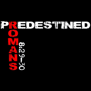 Luister naar PREDESTINED RADIO in de app