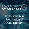undefined Adventures in Awareness