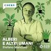 undefined Alberi e altri umani