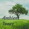 undefined Ambient Tones