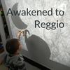 undefined Awakened to Reggio