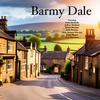 undefined Barmy Dale A British Podcast  Sitcom