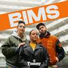 undefined BIMS