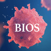 undefined BIOS