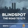undefined Blindspot