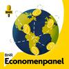 undefined BNR Economenpanel | BNR