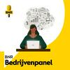 undefined BNR Bedrijvenpanel | BNR