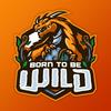 undefined Born to be Wild - A Wild Hearthstone Podcast