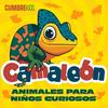 undefined Camaleón: Animales para niños curiosos