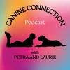 undefined Canine Connection Podcast