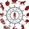undefined Chinese Zodiac