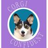 undefined Corgi Confident