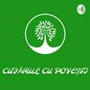 undefined Cufărul cu povești