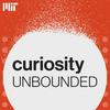 undefined Curiosity Unbounded