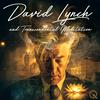 undefined David Lynch and Transcendental Meditation