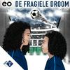 undefined De Fragiele Droom