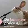 undefined De konijnenpodcast