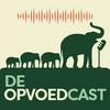 undefined De Opvoedcast