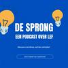 undefined De Sprong: nieuwe carrières, echte verhalen