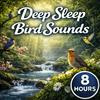 undefined Deep Sleep Bird Sounds