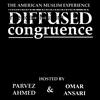 undefined Diffused Congruence: The American Muslim Experience