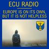 undefined Ecu Radio