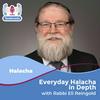 undefined Everyday Halacha in Depth
