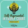 undefined Self-Represented in Family Court