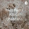 undefined Fast Facts About Cheetahs