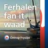 undefined Ferhalen fan it waad