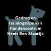 undefined Gedrag en trainingstips van Hondencentrum Heeft Een Staartje
