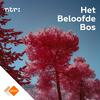 undefined Het Beloofde Bos