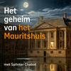 undefined Het geheim van het Mauritshuis
