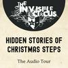 undefined Hidden Stories of Christmas Steps