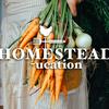 undefined HOMESTEADucation